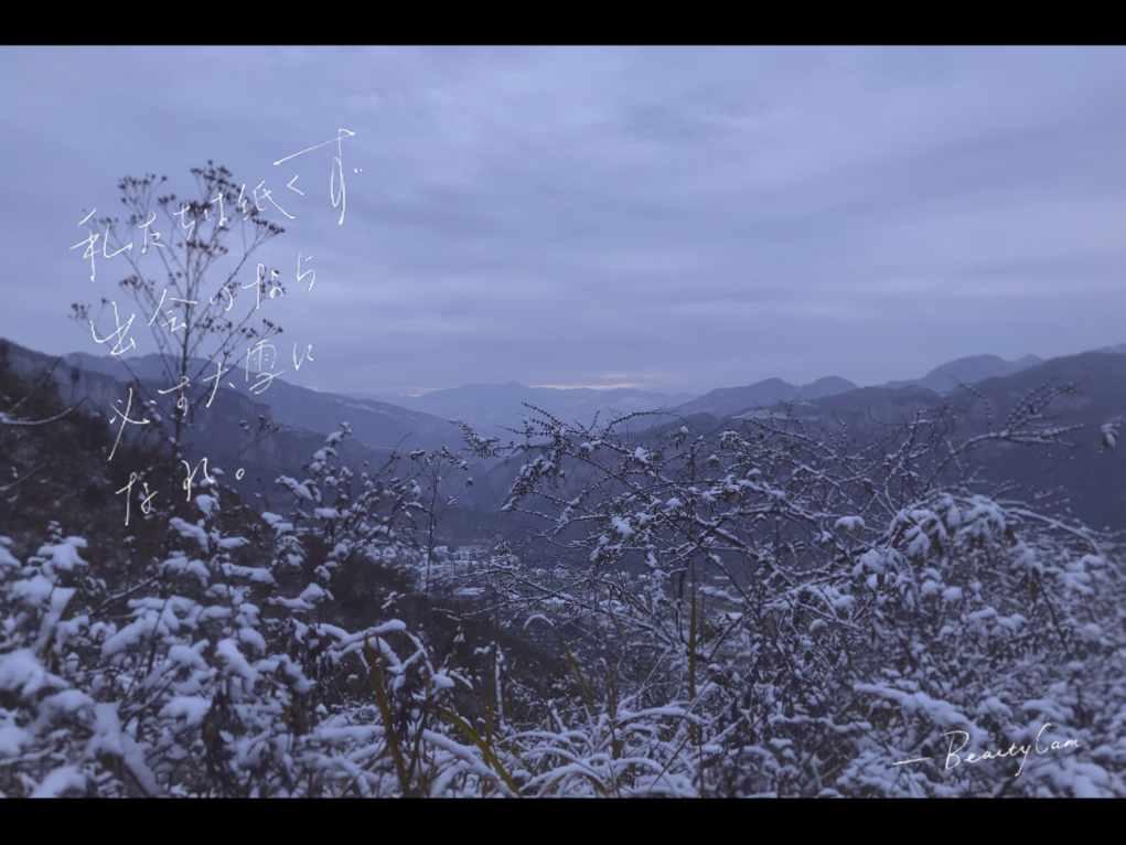 探索天涯,畅谈要删除吗?